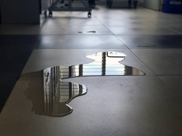 Best 24-hour water damage restoration  in Beaufort, NC