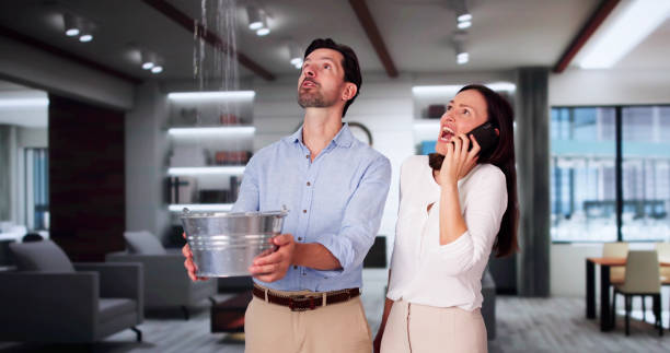 Best Water damage restoration near me  in Beaufort, NC